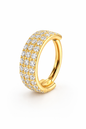Nyvera Gold