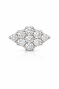 Radiant Cluster Flatback Stud