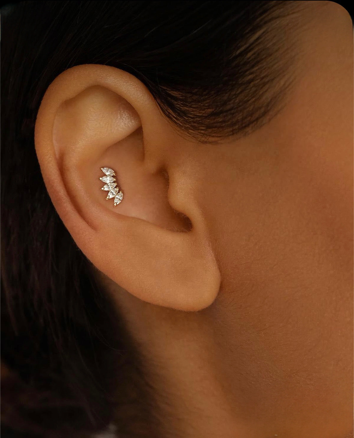 Conch Piercing appointment