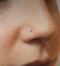 Nostril Piercing appointment