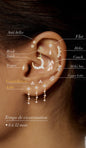 Virtual ear styling